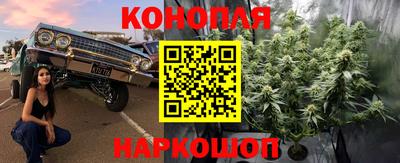 не бодяженный Заводоуковск