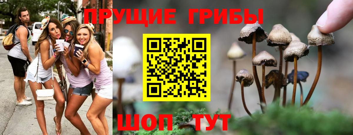 Галлюциногенные грибы Psilocybe Мегион